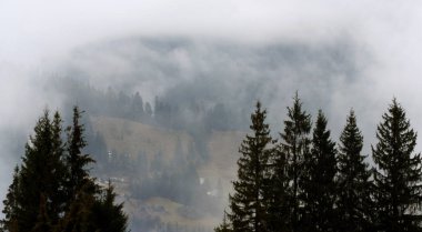 Karpat Dağları siste