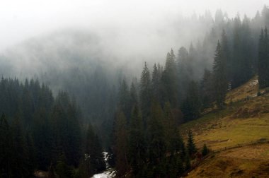 Karpat Dağları siste