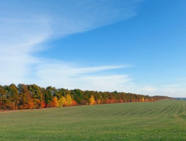 Güneşli bir sonbahar paleti