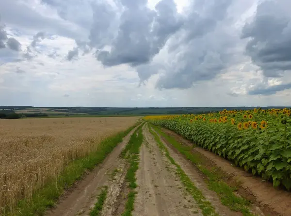 Verano Antes Una Tormenta — Foto de Stock