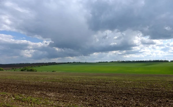 Expansión Sin Fin Del Día Primavera — Foto de Stock