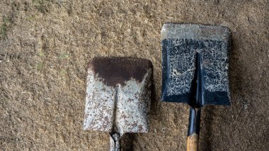 Yerdeki iki kirli küreğin detaylı görüntüsünü kapat. Toprak, kömür, çakıl, kar, kum veya cevher gibi kütle maddelerini kazmak, kaldırmak ve taşımak için kullanılan bir el aracıdır..