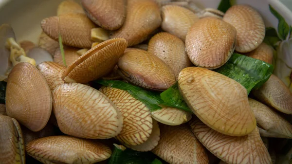 Nahaufnahme Der Lala Oder Salzwassermuscheln Die Mit Austernsauce Ingwer Knoblauch — Stockfoto