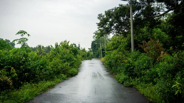 側に緑の茂みと空の道路の中心のビュー 田舎での雨の後の農村道路のシーン — ストック写真