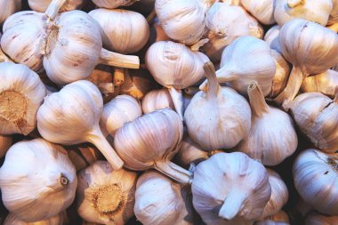 Sarımsak kazık doku.