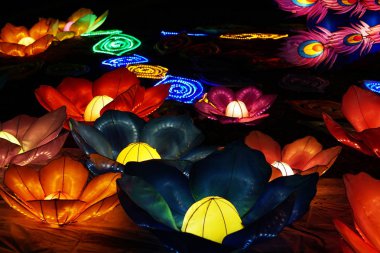 Çin fener festivalinde çiçekler.