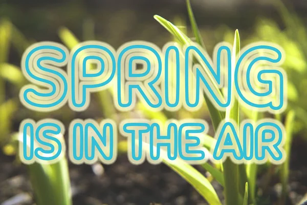 Der Frühling liegt in der Luft. Hintergrund mit großen blauen Buchstaben. — Stockfoto