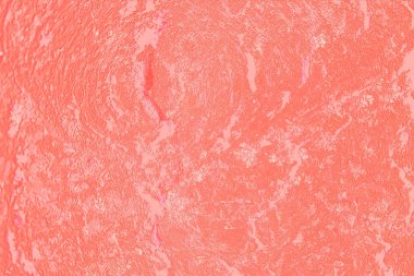 Mercan arka plan rengi.