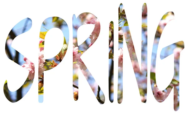 Concepto de primavera, letras PRIMAVERA de flores . — Foto de Stock
