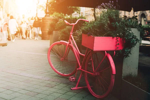 Roze fiets op de straat. — Stockfoto
