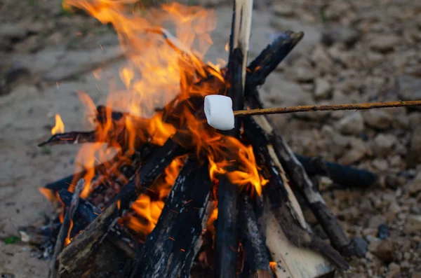 Marshmallow on a twig roasted on a fire — Stock Photo, Image