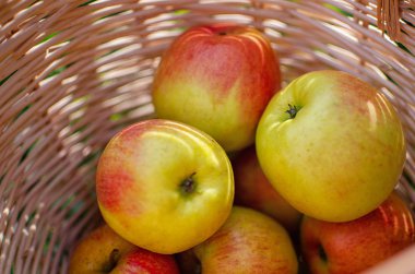 Tahta sepetteki elmalar. 