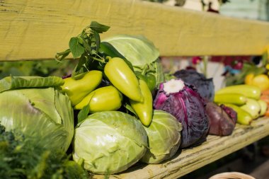 taze sebze bir ürün açık havada bir bankta yatıyor
