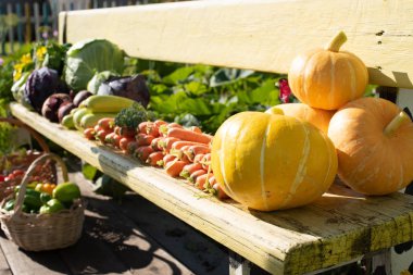 taze sebze bir ürün açık havada bir bankta yatıyor