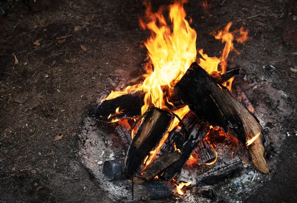 Camping. bonfire on the beach. — Stock Photo, Image