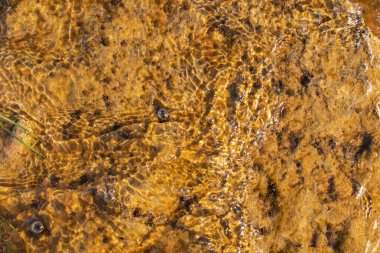 arka plan olarak su altında çatlamış taşlaşmış kil