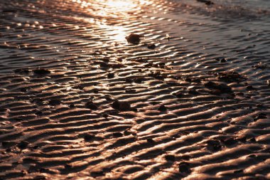 Altın dalgalı kum. denizin ebb sonra güneşte kum parıldar. kıyıda güneş parlaması