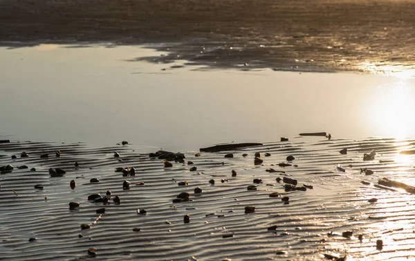 Golden wavy sand. the sand glitters in the sun after the ebb of the sea. sun glare on the shore — Stock Photo, Image