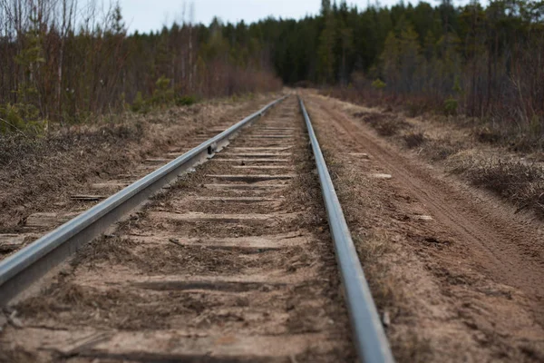demiryolunun bir parçası. raylar ve yataklar