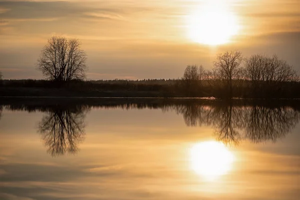 Sonnenuntergang auf der Wiese. Sonne, Himmel und Bäume spiegeln sich im Fluss wider. Frühjahrshochwasser — Stockfoto