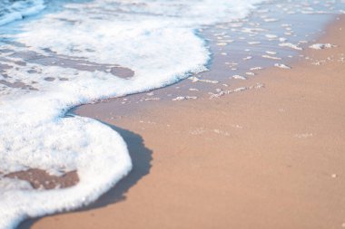 Beyaz köpüklü bir dalga kumlu bir sahilde dalgalanır.