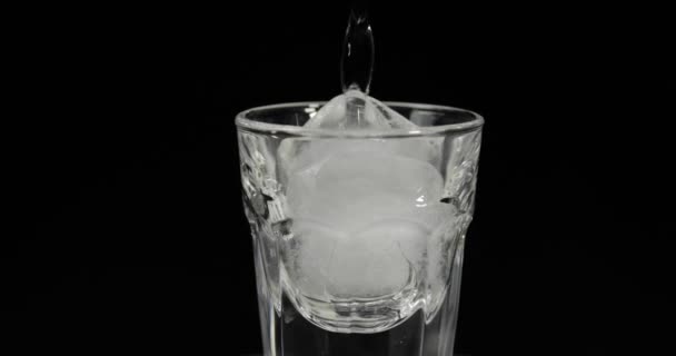Vierta el vodka en vasos de chupito con cubitos de hielo colocados sobre un fondo negro — Vídeos de Stock