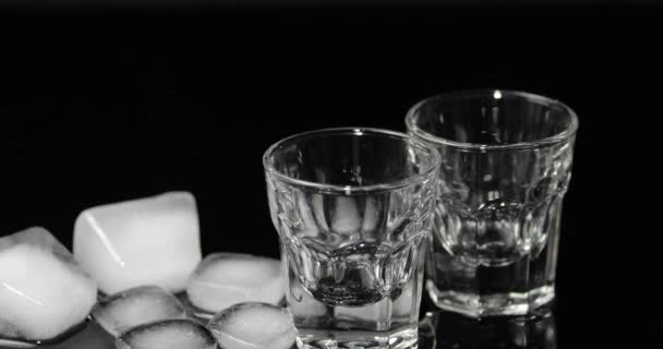 Vierta el vodka en vasos de chupito con cubitos de hielo colocados sobre un fondo negro — Vídeos de Stock