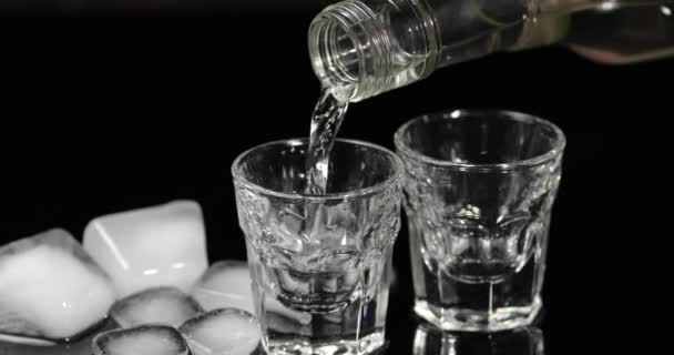 Verser la vodka dans des verres à glaçons placés sur un fond noir — Video