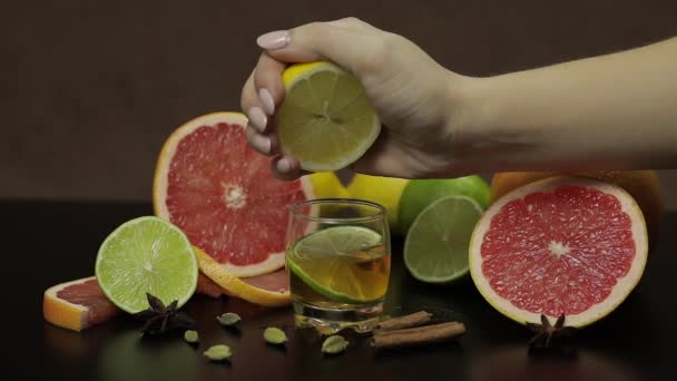 Mujer exprime jugo de limón en una taza de vidrio con cóctel de alcohol — Vídeo de stock