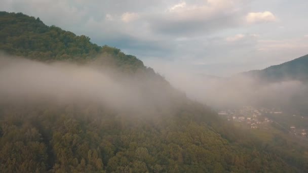 Montages Dans Brouillard Vue Aérienne — Video