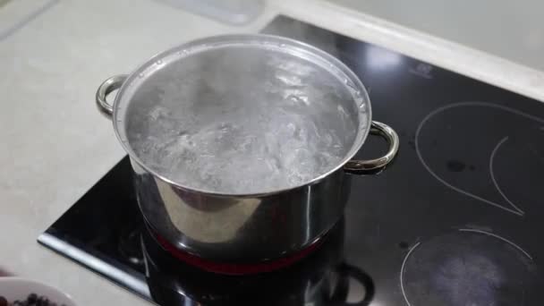 Aggiungere le bacche in acqua bollente. Composta da cucina. Cucina. — Video Stock