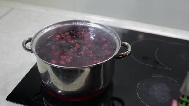 Berries in pot with boiling water. Adding sugar. Cooking compote. Kitchen — Stock Video