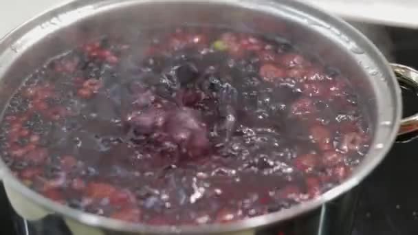 Bayas en olla con agua hirviendo. Cocinar compota. Cocina — Vídeo de stock