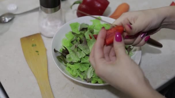 女性の手がサラダに赤ピーマンをカットします。 — ストック動画