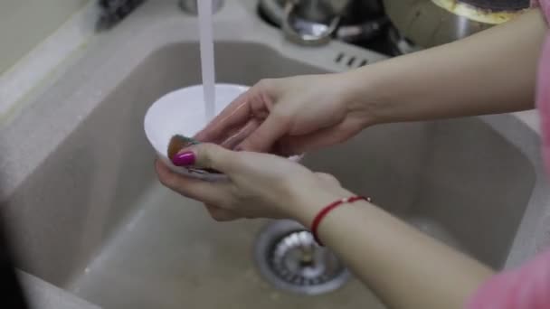 Kvinna diska i köket. Närbild av kvinna hand — Stockvideo