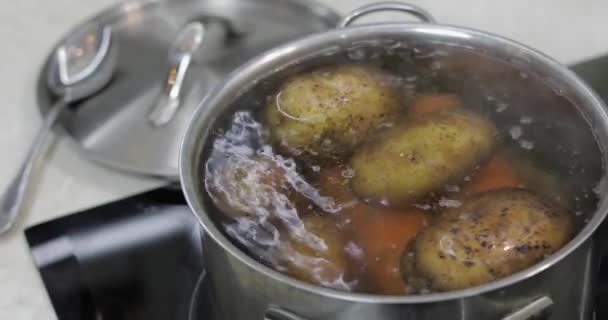 Sartén hirviendo caliente con verduras papas y zanahorias. Cocinar en la cocina — Vídeos de Stock