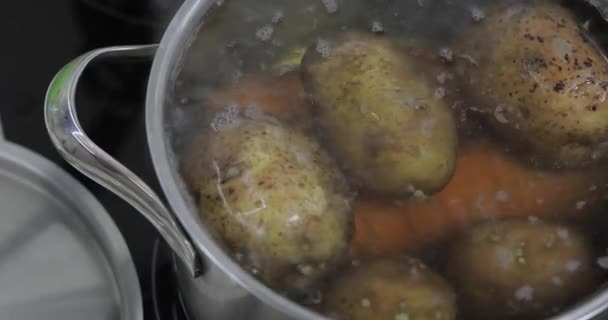 Sartén hirviendo caliente con verduras papas y zanahorias. Cocinar en la cocina — Vídeos de Stock