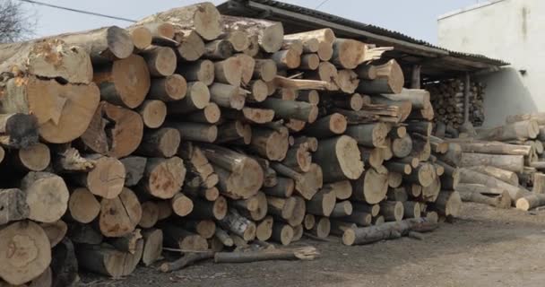 Madera aserrada. Troncos de madera recién cortados apilados. Almacenamiento de madera para la industria — Vídeos de Stock