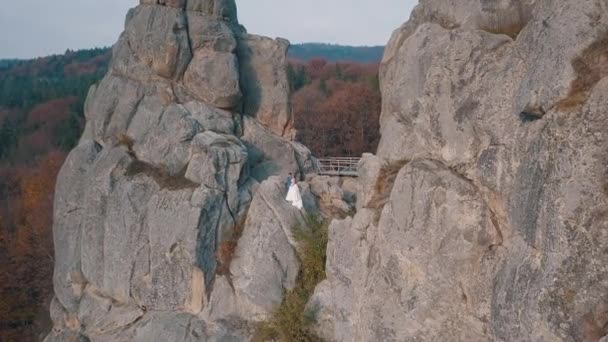 Newlyweds stand on a high slope of the mountain. Groom and bride. Arial view — Αρχείο Βίντεο