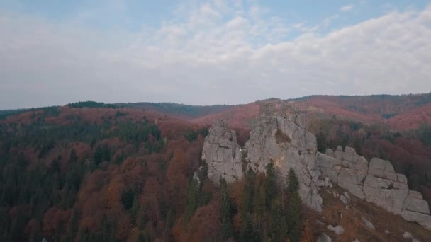 Imponerande Drone skott av Bergs sluttningar i skogen. Hösten. Utsikt från luften — Stockvideo
