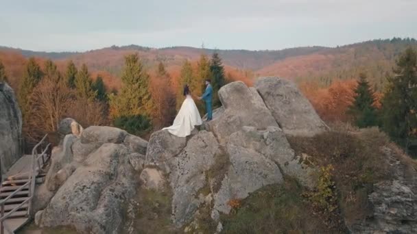 Newlyweds stand on a high slope of the mountain. Groom and bride. Arial view — ストック動画