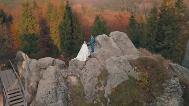 Les jeunes mariés se tiennent sur une haute pente de la montagne. Mariée et fiancée. Vue ariale — Video