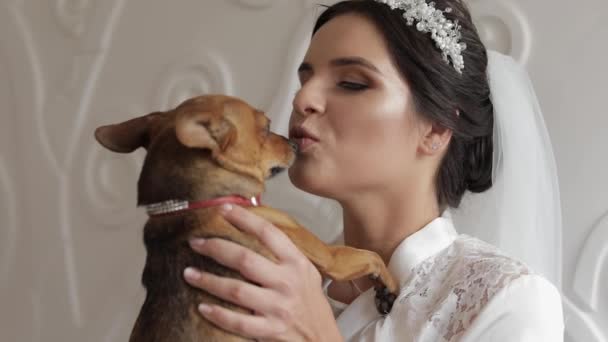 Hermosa y encantadora novia en vestido de noche y velo con perro divertido. Boda — Vídeo de stock