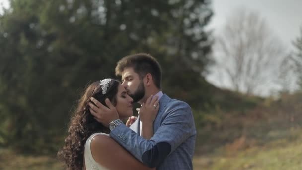 Um noivo com noiva no parque. Casamento. Família feliz no amor — Vídeo de Stock