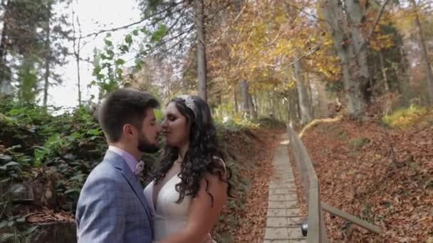 Novio con novia cerca de las colinas de montaña en el bosque. Un par. Haciendo un beso — Vídeos de Stock