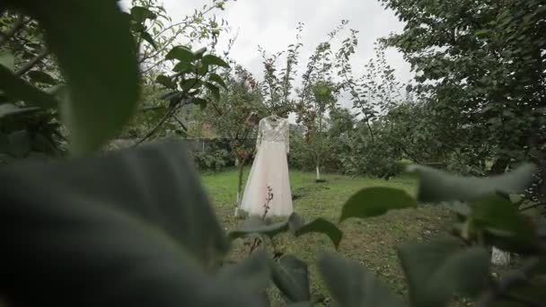 O vestido das noivas está pendurado numa macieira. Muito bonito e elegante. Casamento — Vídeo de Stock