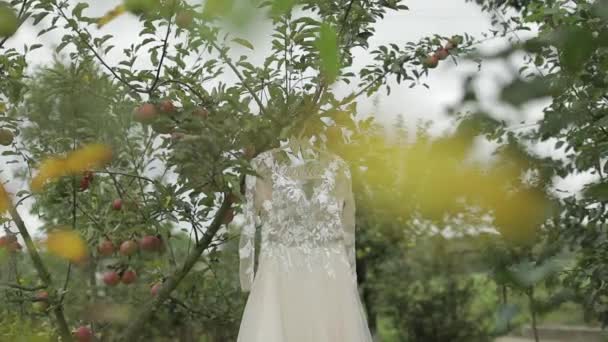 Den brudar klänning hänger på en äppel träd. Mycket vacker och elegant. Bröllop — Stockvideo