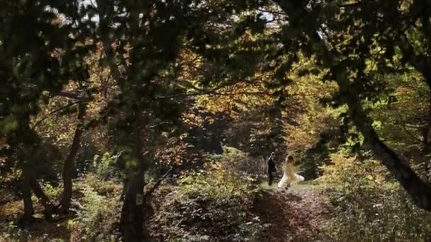 Brudgummen med bruden i skogen parken. Bröllops paret. Lycklig familj — Stockvideo