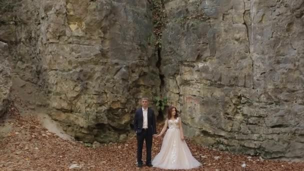 Bräutigam mit Braut im Waldpark. Hochzeitspaar. glückliche Familie — Stockvideo