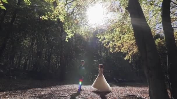 Наречений з нареченою в лісовому парку. Весільна пара. Наречена танцює — стокове відео